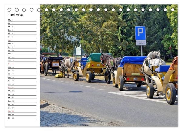 Produktbild: Treffpunkt Ostsee (Tischkalender 2026 DIN A5 quer), CALVENDO Monatskalender