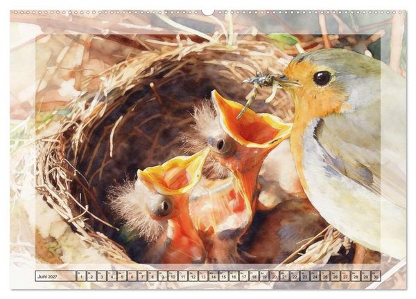 Produktbild: Zauberhaftes Nestgefl&uuml;ster (Wandkalender 2027 DIN A2 quer), CALVENDO Monatskalender