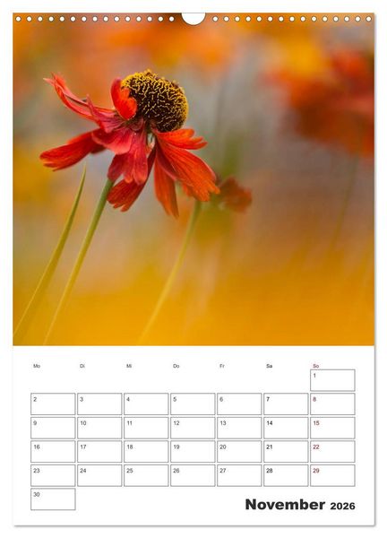 Produktbild: Farbiger Bl&uuml;tentraum (Wandkalender 2026 DIN A3 hoch), CALVENDO Monatskalender