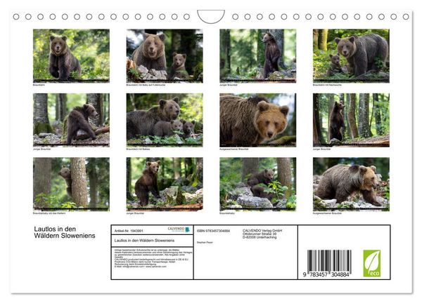 Produktbild: Lautlos in den W&auml;ldern Sloweniens (Wandkalender 2026 DIN A4 quer), CALVENDO Monatskalender