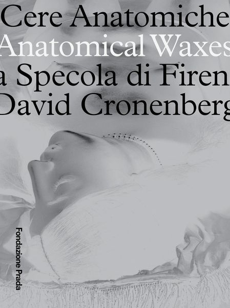 Produktbild: Anatomical Waxes