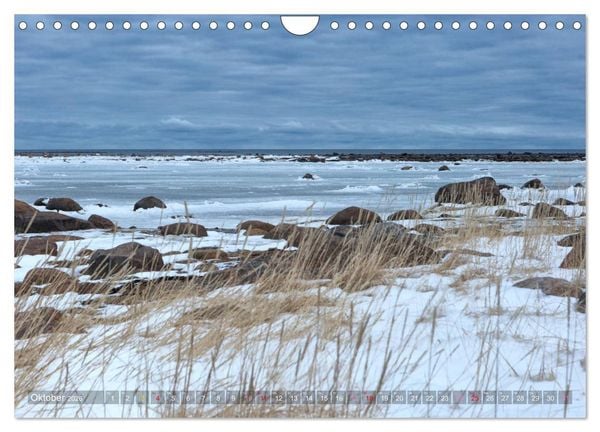 Produktbild: AN DER HUDSON BAY (Wandkalender 2026 DIN A4 quer), CALVENDO Monatskalender