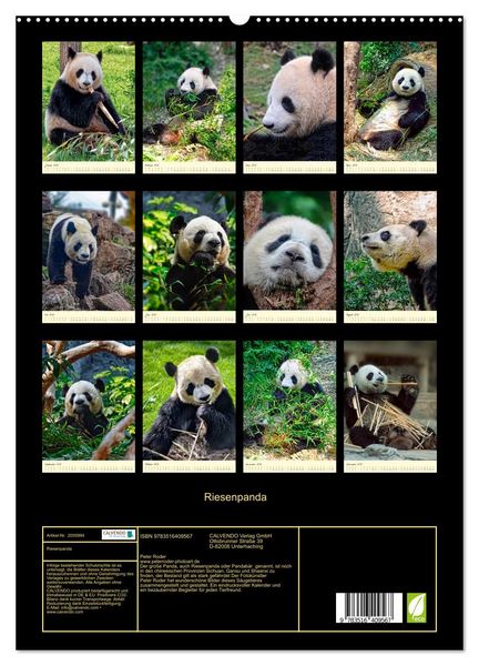 Produktbild: Riesenpanda (hochwertiger Premium Wandkalender 2026 DIN A2 hoch), Kunstdruck in Hochglanz