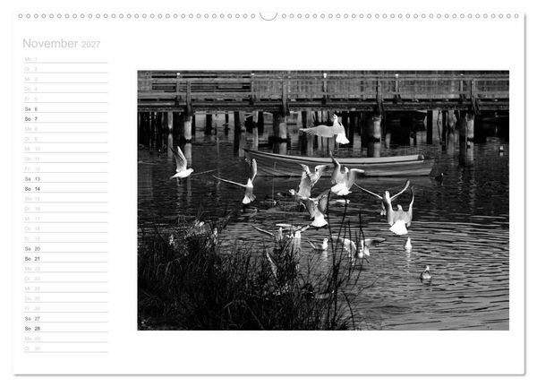 Produktbild: Bilder vom See (hochwertiger Premium Wandkalender 2027 DIN A2 quer), Kunstdruck in Hochglanz