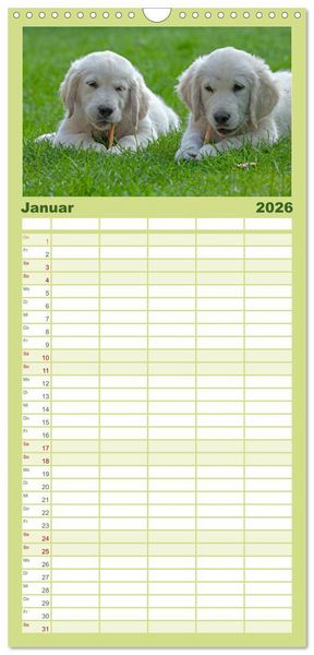 Produktbild: Familienplaner 2026 - Hunde - Beste Freunde der Menschen mit 5 Spalten (Wandkalender, 21 x 45 cm) CALVENDO