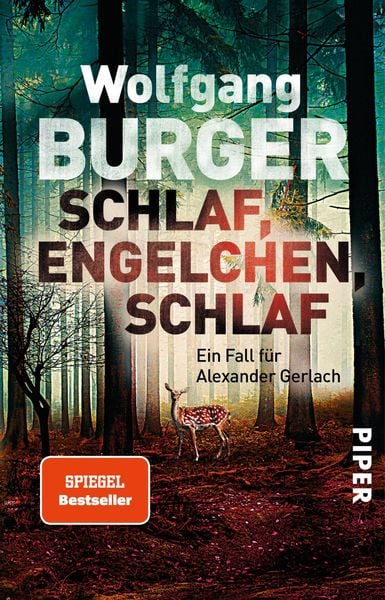 Produktbild: Schlaf, Engelchen, schlaf