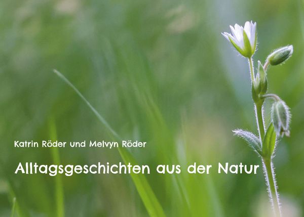 Produktbild: Alltagsgeschichten aus der Natur