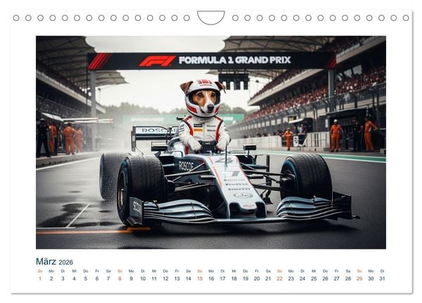 Produktbild: Jack Russel Active (Wandkalender 2026 DIN A4 quer), CALVENDO Monatskalender