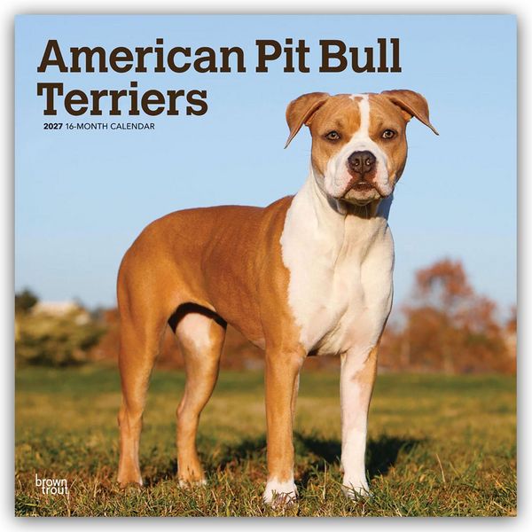 Produktbild: American Pit Bull Terriers 2027 &ndash; 16-Monatskalender