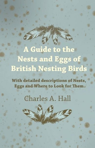 Produktbild: A Guide to the Nests and Eggs of British Nesting Birds - With Detailed Descriptions of Nests, Eggs, and Where to Look for Them