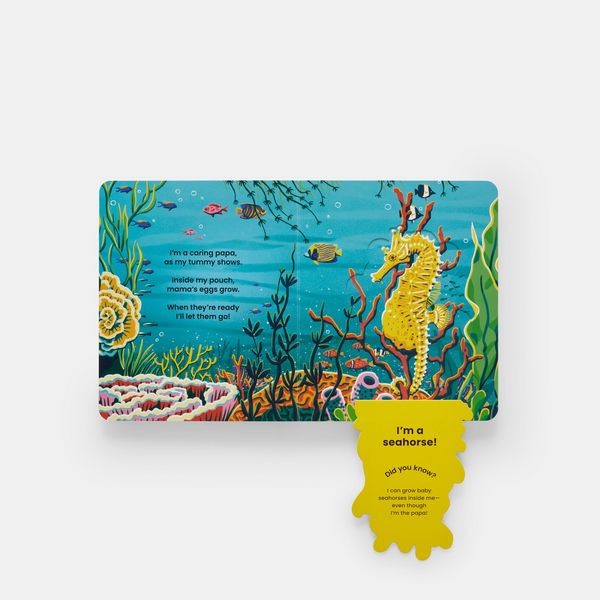 Produktbild: Who's Hiding Under the Sea?