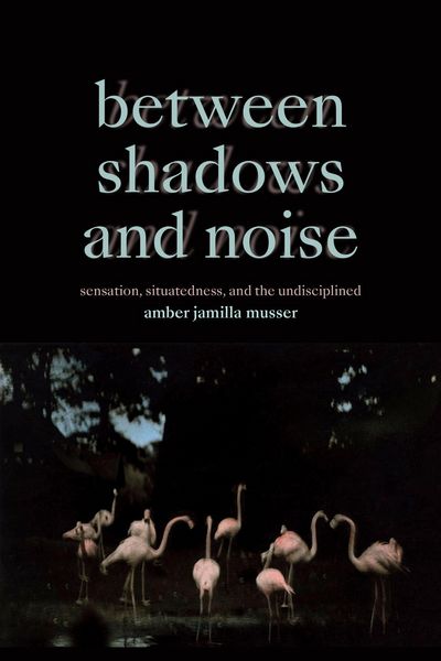 Produktbild: Between Shadows and Noise