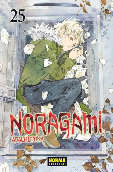 Produktbild: Noragami 25