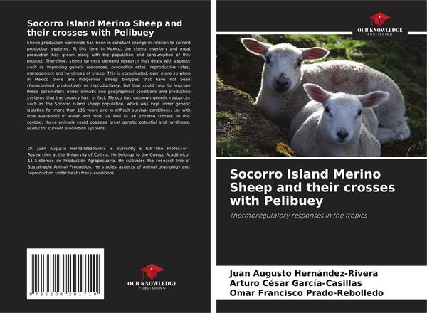 Produktbild: Socorro Island Merino Sheep and their crosses with Pelibuey