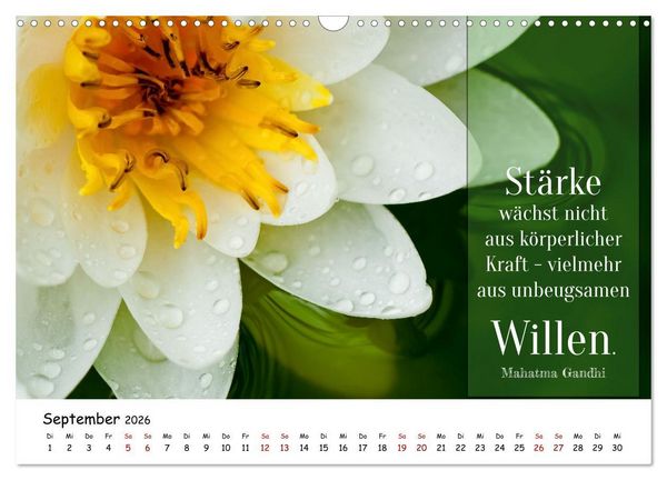 Produktbild: Lebensweisheiten, motivierende Spr&uuml;che und kluge Zitate mit Bildern der Natur (Wandkalender 2026 DIN A3 quer), CALVENDO Monatskalender