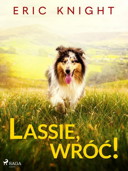 Produktbild: Lassie, wr&oacute;c!
