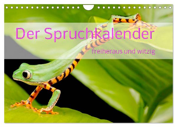 Produktbild: Der Spruchkalender - freiheraus und witzig (Wandkalender 2026 DIN A4 quer), CALVENDO Monatskalender