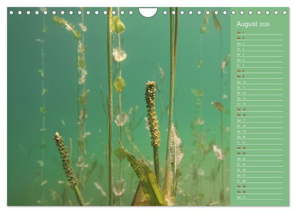 Produktbild: Baggersee - die gr&uuml;ne Welt (Wandkalender 2026 DIN A4 quer), CALVENDO Monatskalender