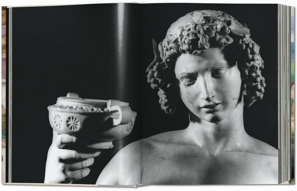 Produktbild: Michelangelo