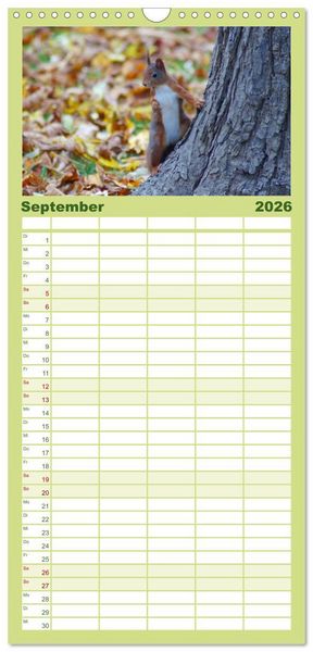 Produktbild: Familienplaner 2026 - Das heimliche Leben der Eichh&ouml;rnchen mit 5 Spalten (Wandkalender, 21 x 45 cm) CALVENDO