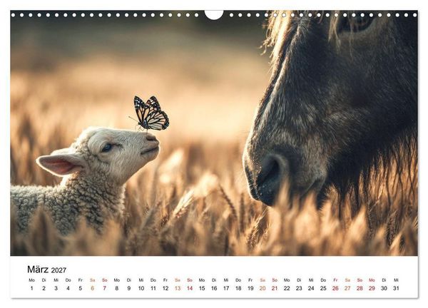 Produktbild: Beste Freunde - ein tierisch buntes Miteinander (Wandkalender 2027 DIN A3 quer), CALVENDO Monatskalender