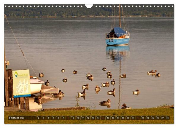 Produktbild: Seest&auml;rke - Der Ammersee (Wandkalender 2026 DIN A3 quer), CALVENDO Monatskalender