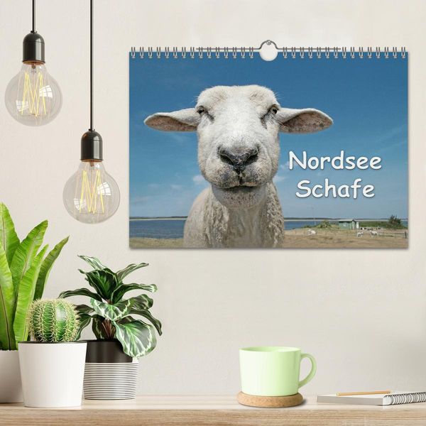 Produktbild: Nordsee Schafe (Wandkalender 2026 DIN A4 quer), CALVENDO Monatskalender