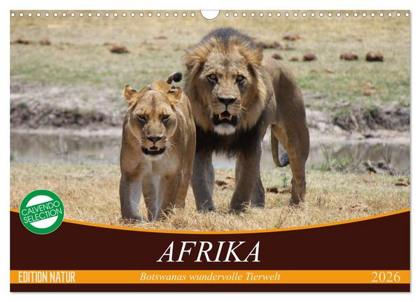 Produktbild: Afrika. Botswanas wundervolle Tierwelt (Wandkalender 2026 DIN A3 quer), CALVENDO Monatskalender