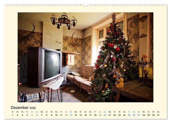 Produktbild: Herr B&auml;r urban explorer (Wandkalender 2026 DIN A2 quer), CALVENDO Monatskalender