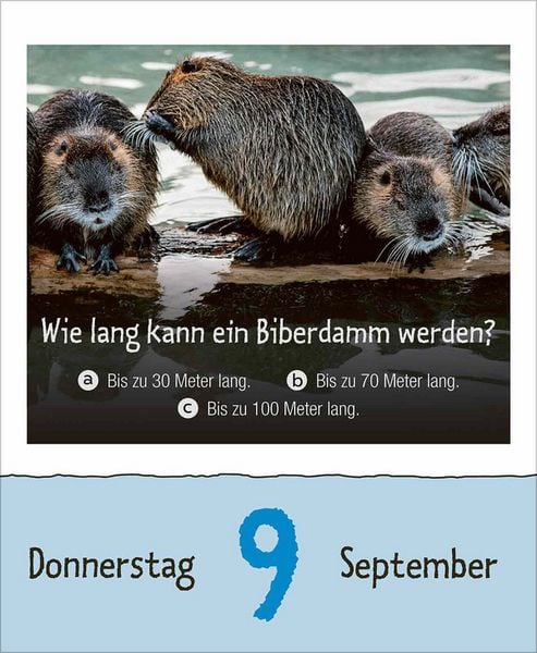 Produktbild: Wie faul ist das Faultier? 2027