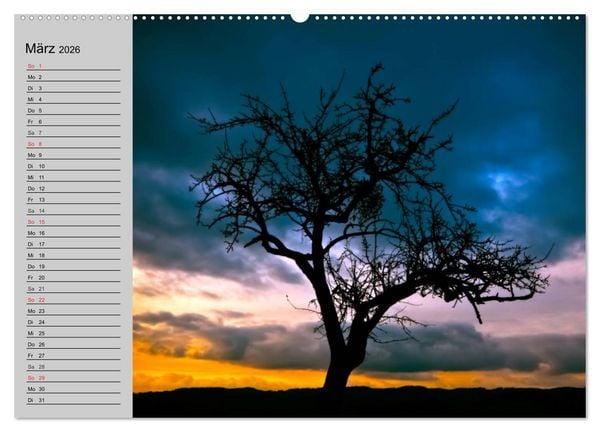 Produktbild: Magische B&auml;ume (hochwertiger Premium Wandkalender 2026 DIN A2 quer), Kunstdruck in Hochglanz