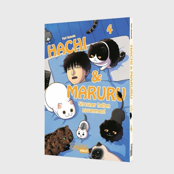 Produktbild: Hachi & Maruru &ndash; Streuner halten zusammen! 4