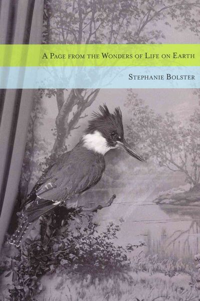 Produktbild: A Page from the Wonders of Life on Earth