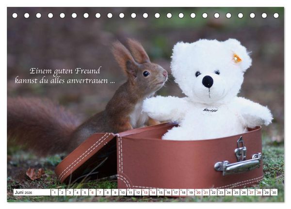 Produktbild: Tipps von Eichh&ouml;rnchen an Eichh&ouml;rnchenliebhaber (Tischkalender 2026 DIN A5 quer), CALVENDO Monatskalender