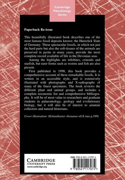 Produktbild: The Fossils of the Hunsruck Slate