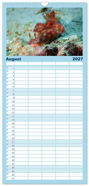 Produktbild: Familienplaner 2027 - Meeres-Schnecken mit 5 Spalten (Wandkalender, 21 x 45 cm) CALVENDO