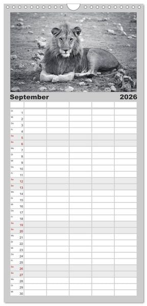 Produktbild: Familienplaner 2026 - L&ouml;wen schwarz wei&szlig; mit 5 Spalten (Wandkalender, 21 x 45 cm) CALVENDO