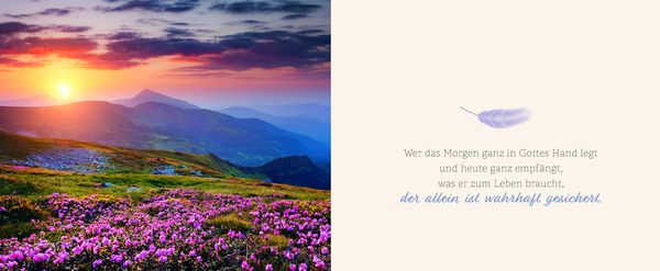 Produktbild: Beh&uuml;tet und getr&ouml;stet jeden Tag