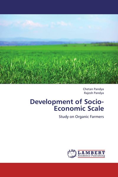 Produktbild: Development of Socio-Economic Scale