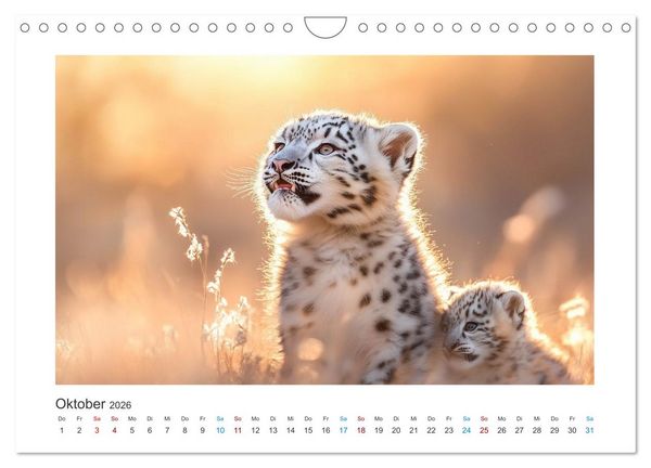 Produktbild: Geheimnisvolle Wildnis (Wandkalender 2026 DIN A4 quer), CALVENDO Monatskalender