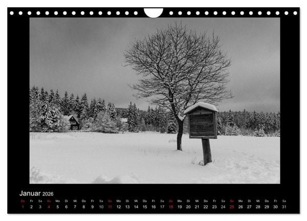 Produktbild: Harz-Bilder in monochrome (Wandkalender 2026 DIN A4 quer), CALVENDO Monatskalender