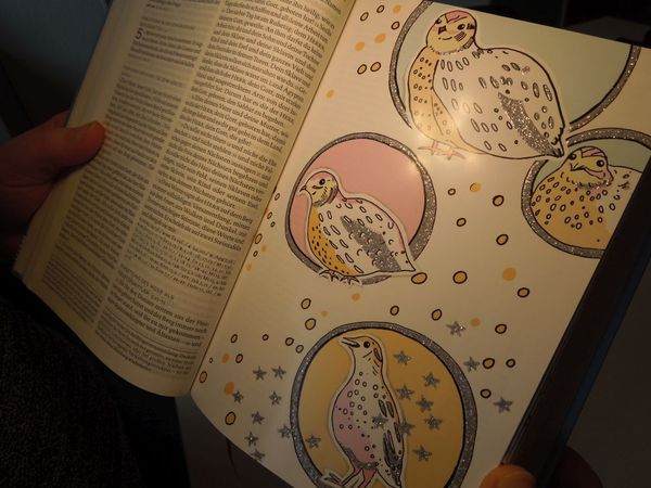 Produktbild: Die Bibel mit Bildern zu Wundern