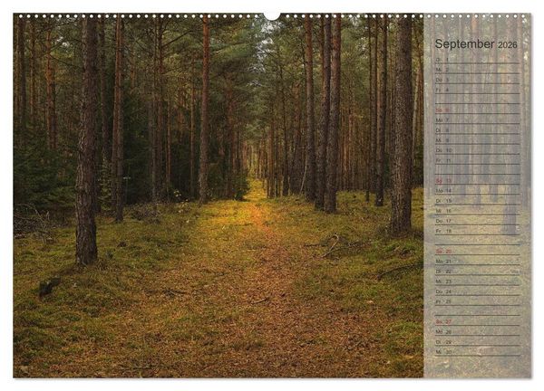Produktbild: Unser Wald - Magische Sichten in norddeutsche W&auml;lder / Geburtstagskalender (hochwertiger Premium Wandkalender 2026 DIN A2 quer), Kunstdruck in Hochglanz