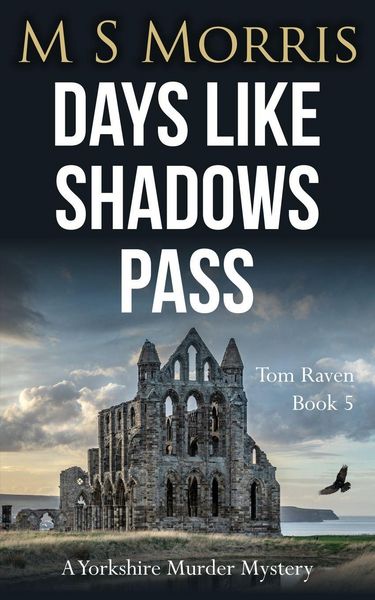 Produktbild: Days Like Shadows Pass
