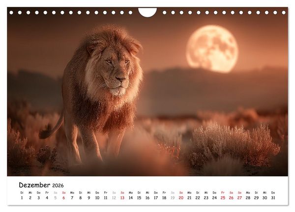 Produktbild: L&ouml;wen - Majest&auml;t der Wildnis (Wandkalender 2026 DIN A4 quer), CALVENDO Monatskalender