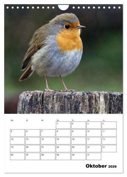 Produktbild: Bezaubernde V&ouml;gel im heimischen Garten (Wandkalender 2026 DIN A4 hoch), CALVENDO Monatskalender