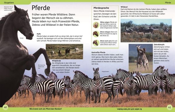 Produktbild: DK Kinderlexikon. Tiere