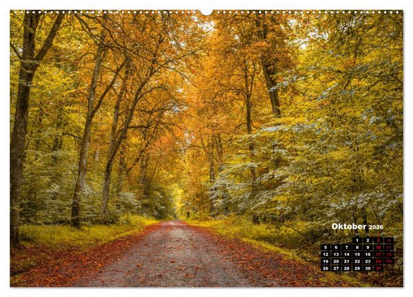 Produktbild: Rund um den Sch&ouml;nbuch (Wandkalender 2026 DIN A2 quer), CALVENDO Monatskalender