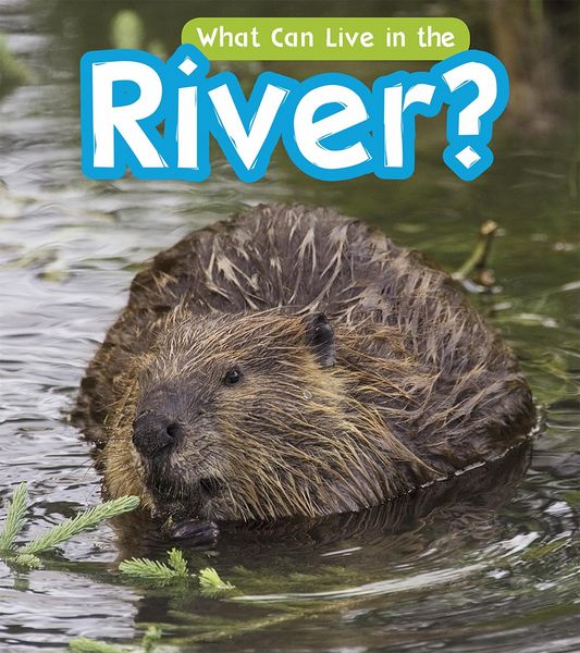 Produktbild: What Can Live in a River?