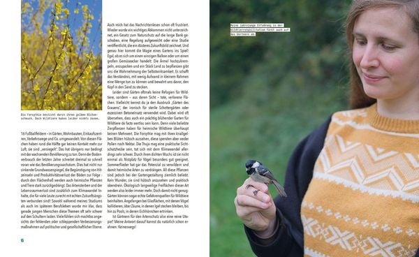 Produktbild: Tierisch viel los!